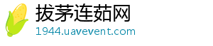 拔茅连茹网